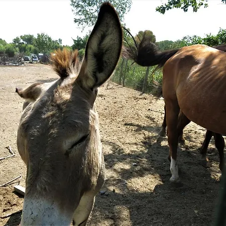 منتزه العطل Village Baia Del Marinaio 3*