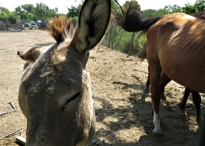 Vakantiepark Village Baia Del Marinaio 3*